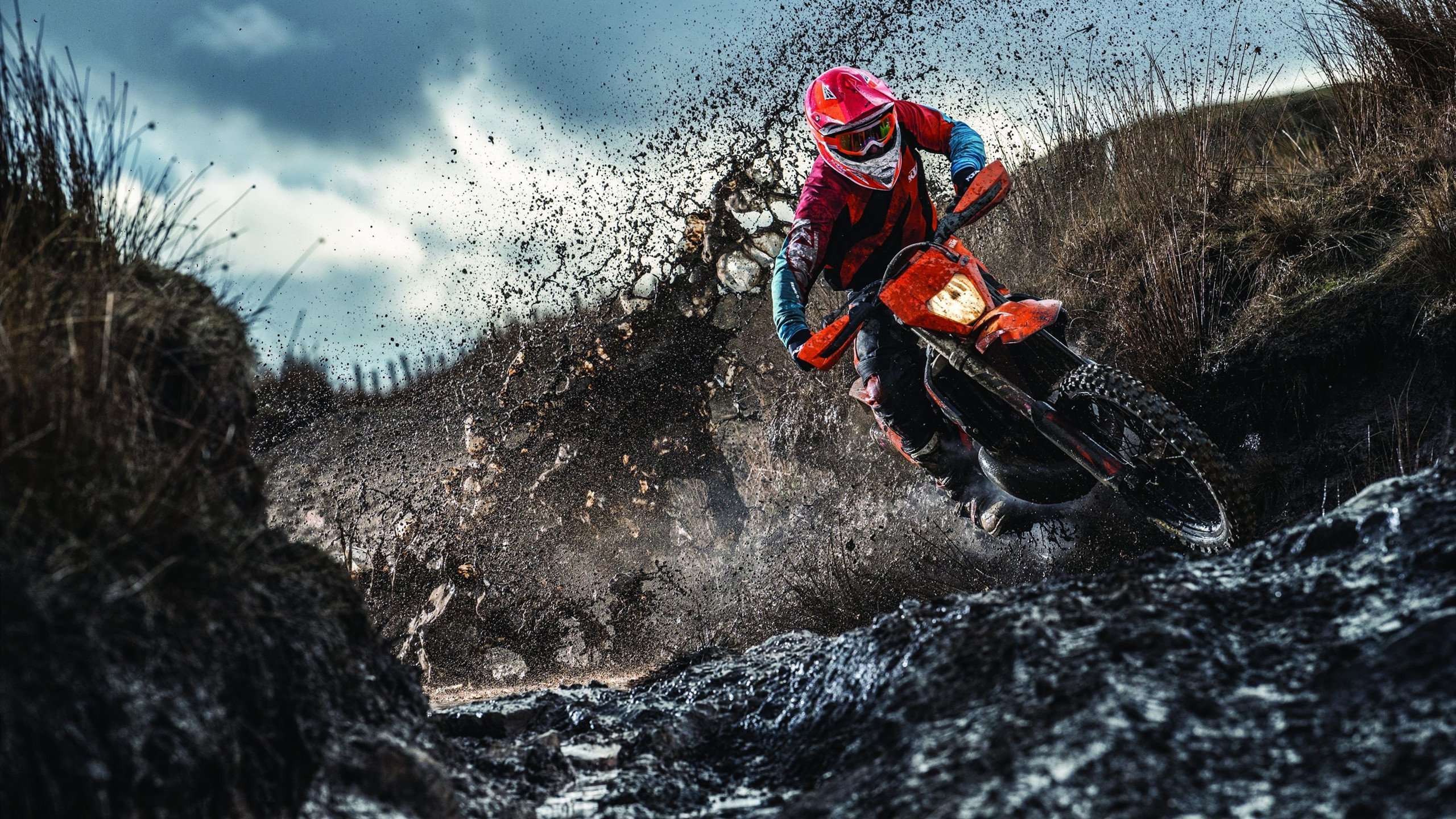 尼克斯火力压制掘金，戈贝尔在欧冠决赛接管比赛，篮球世界的双城记